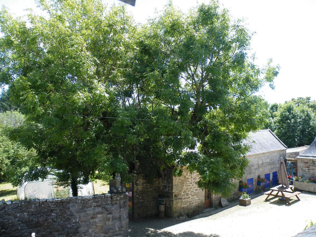 La Ferme Du Bout Du Monde Bed & Breakfast Plogoff Dış mekan fotoğraf